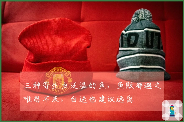 三种寄生虫泛滥的鱼，鱼贩都避之唯恐不及，白送也建议远离