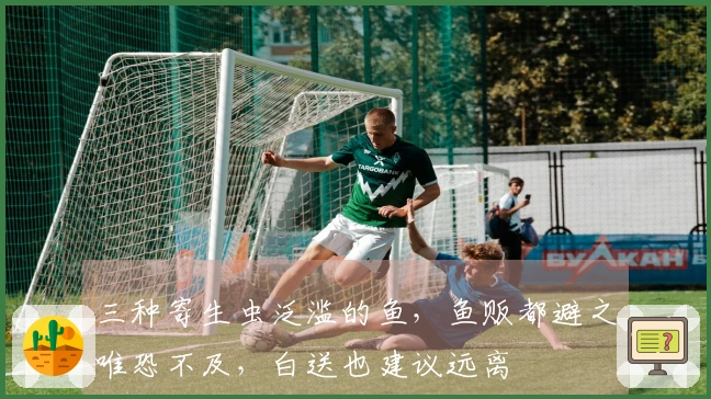 三种寄生虫泛滥的鱼，鱼贩都避之唯恐不及，白送也建议远离